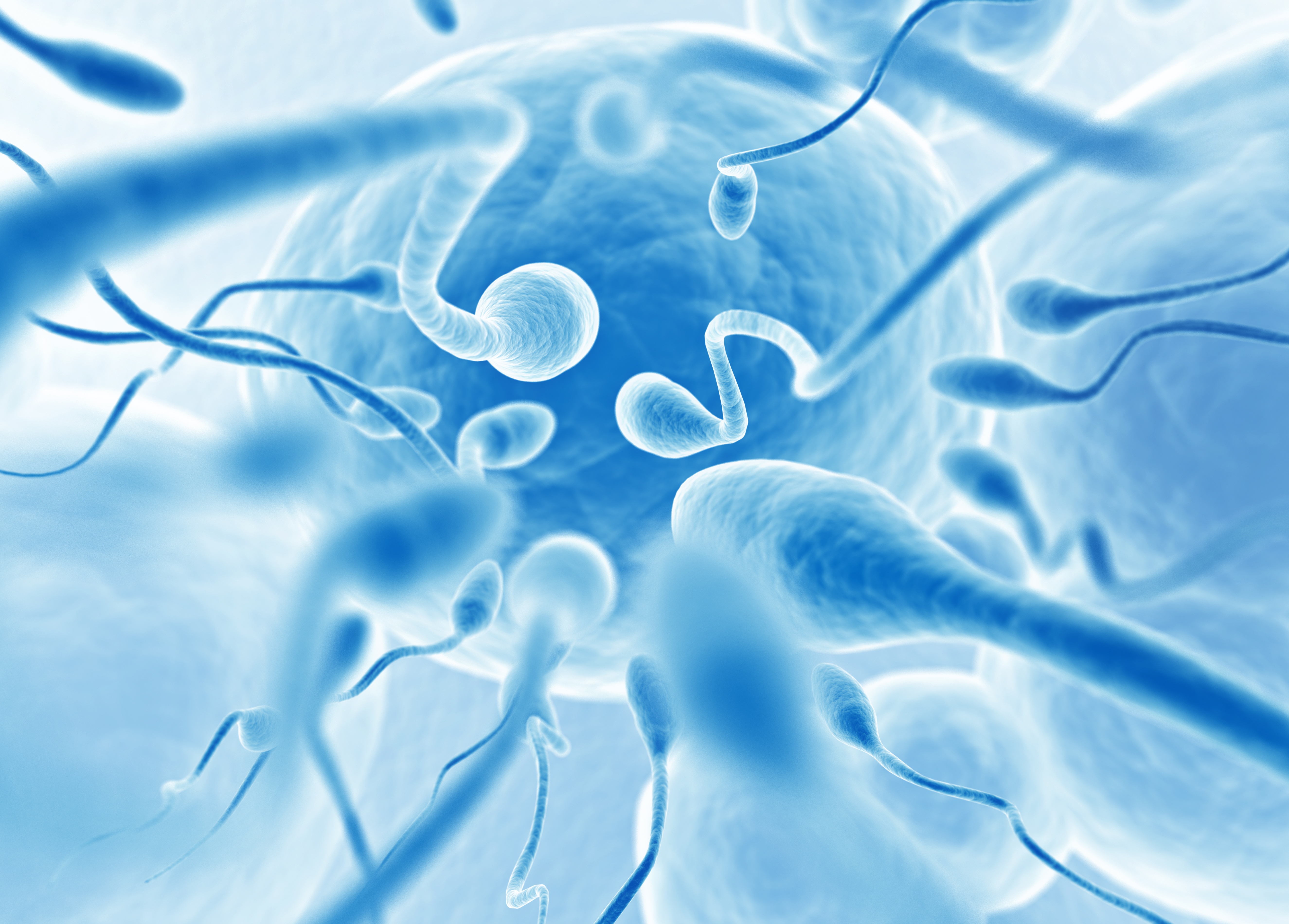 sperm-donation-101-here-s-what-you-need-to-know